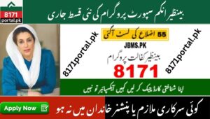 Read more about the article District list & payment Details for BISP may installment 2025