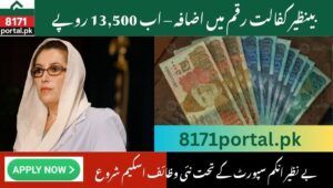 Read more about the article Hunarmand Skill Development Program Launched as BISP Increases Kafalat Stipend to Rs13,500